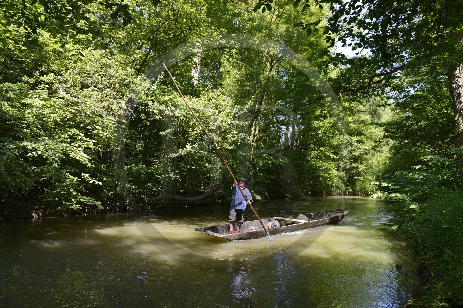 France, Bas-Rhin (67), région d'Ebersmunster et Muttersholtz, le Grand Ried, le batelier Patrick Unterstock dans une barque à fond plat en bois sur la rivière l'Ill