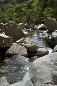 France, Haute Corse, Vivario, hiking on the GR 20, between Onda refuge and Vizzavona, Vizzavona forest, Englishmen cascades, waterfalls group in the Agnone valley under the Monte d'Oro