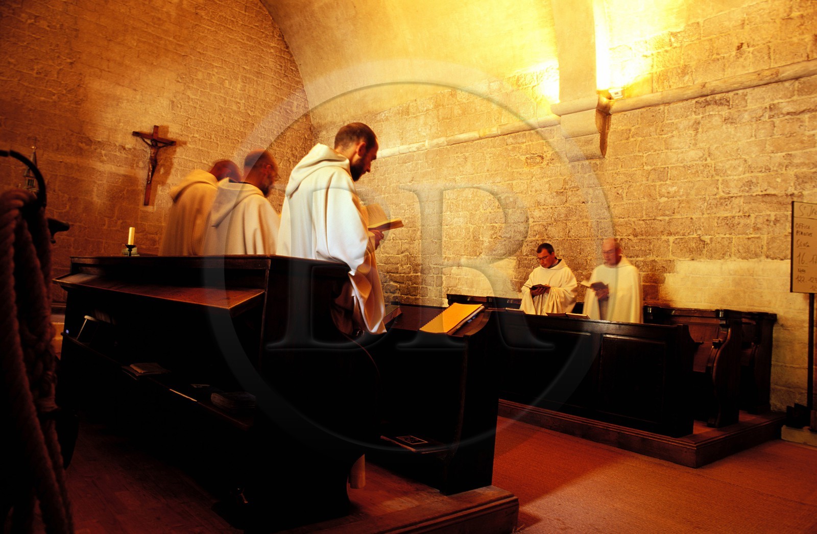 France, Vaucluse, Luberon, abbey of Senanque (cistercian order) monk service during vespers