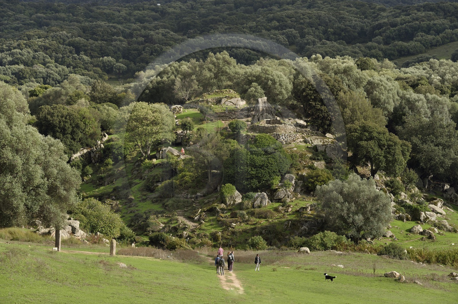 France, Corse du Sud, prehistoric site of Filitosa, alignment of menhirs statues and the oppidum in the background