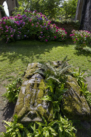 France, Cotes d'Armor, Paimpol, the 13th century Beauport Abbey, interior of the abbey church, couple of recumbent figures of the lords of Kergozou 15th century