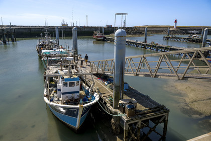 France, Charente Maritime, Oleron island, port of La Cotinière