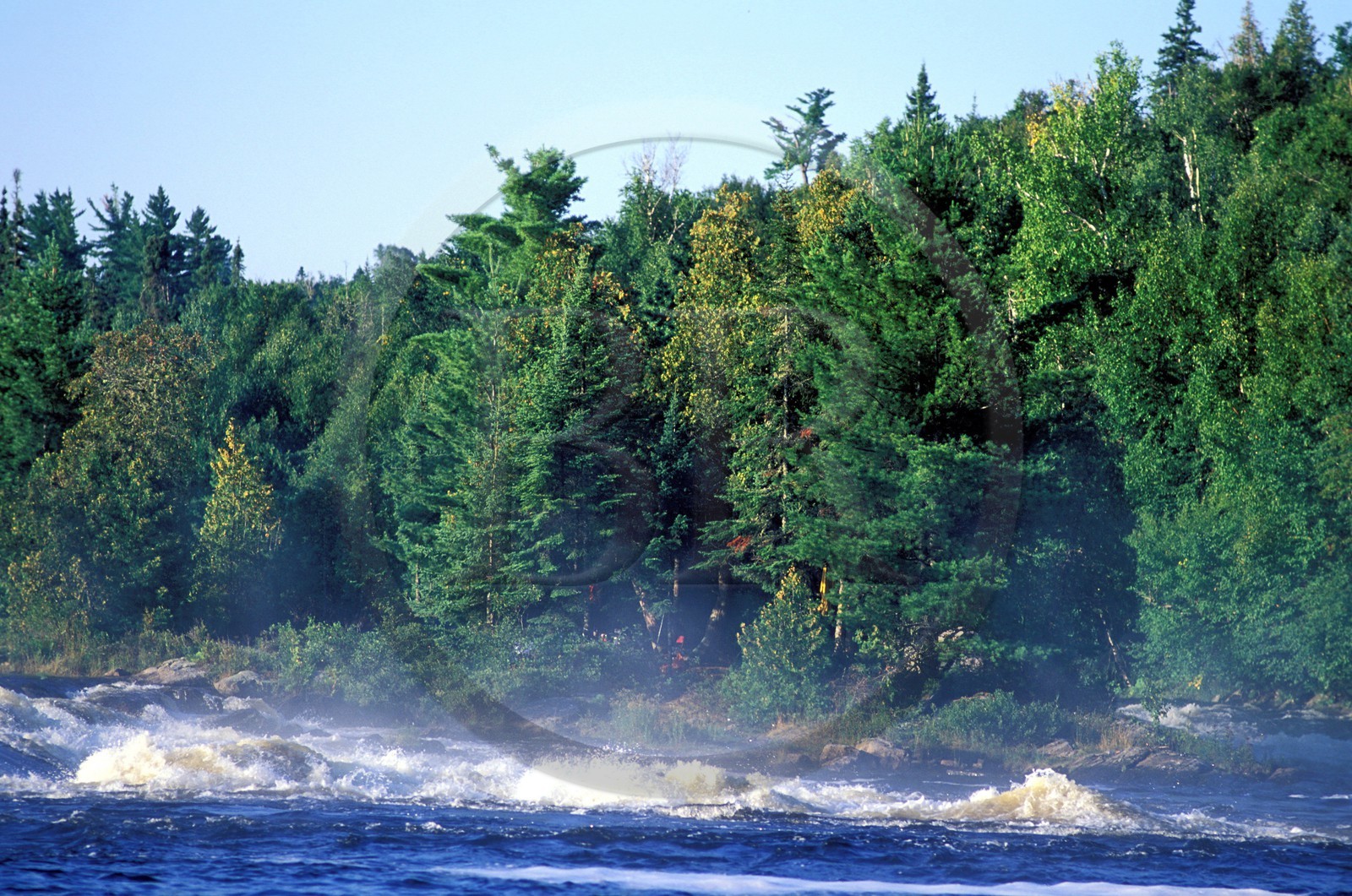 Canada, province de Québec, Réserve faunique de la Vérendrye, rivière des Outaouais, les rapides