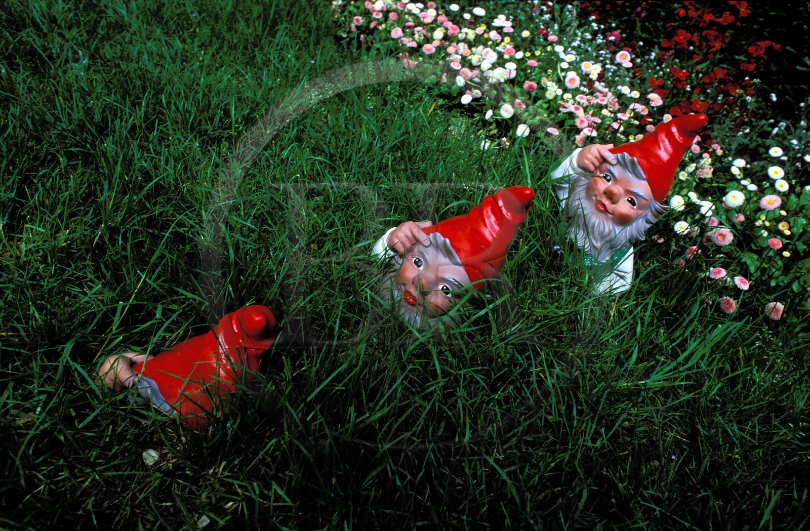 France, Paris, Bagatelle garden, garden's dwarfs