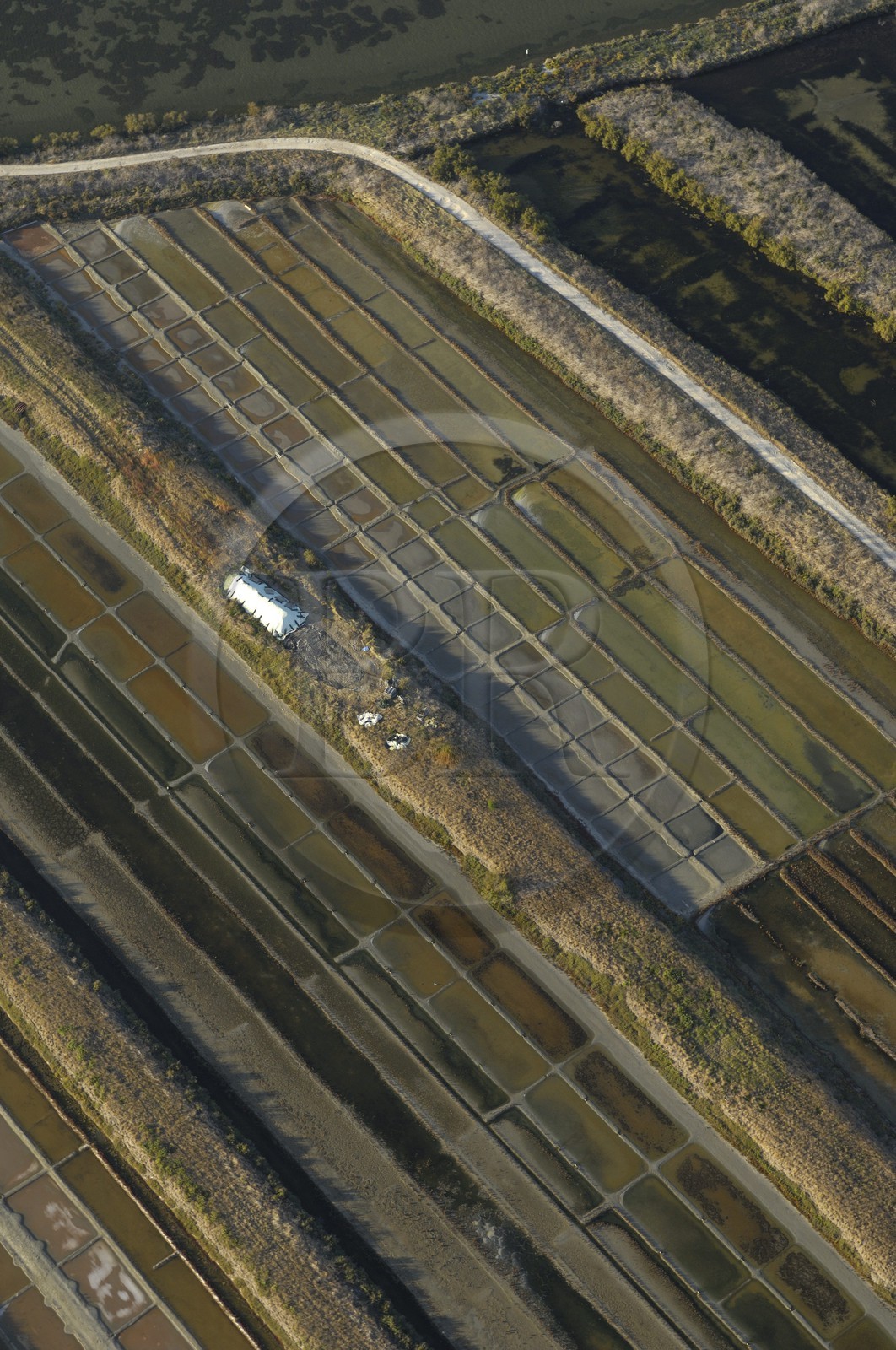 France, Charente-Maritime (17), ile de Ré, le Fier d'Ars, marais salants (vue aérienne)