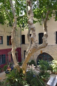 France, Var (83), Toulon, l'ancien Eveché site principal du Festival Design Parade Toulon sur le cours Lafayette