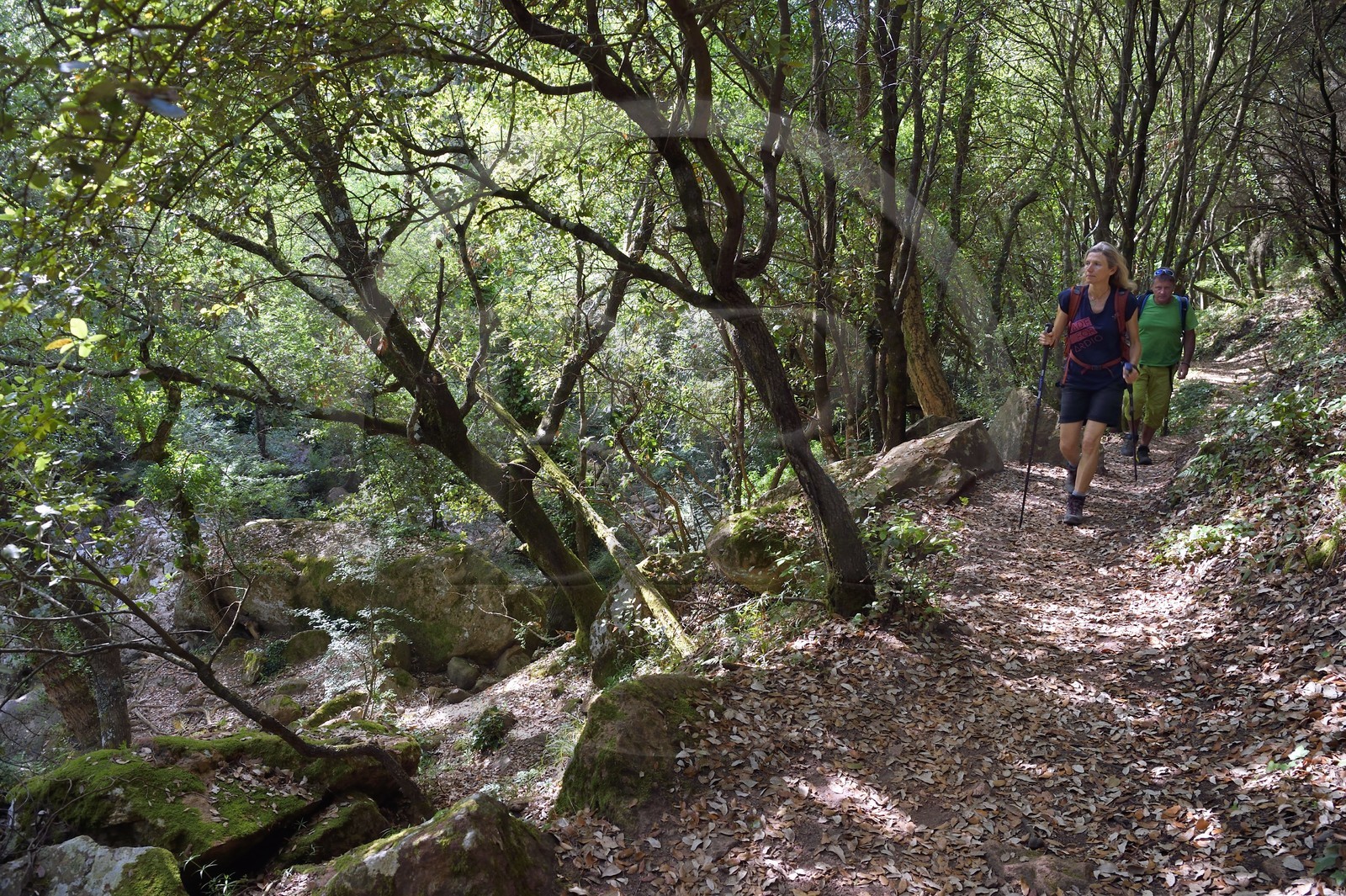 France, Var (83), entre Bagnols-en-Forêt et Roquebrune-sur-Argens, randonnée dans les Gorges du Blavet
