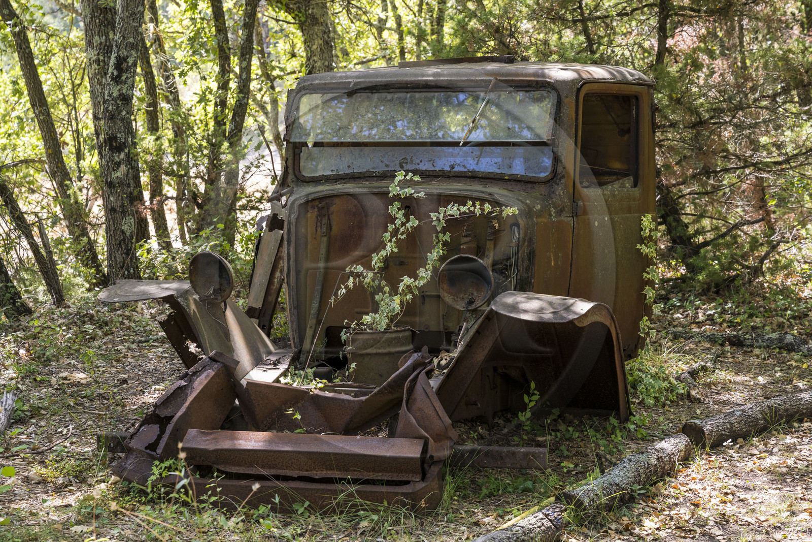 France, Var (83), Provence Verte, Bras, vers Saint-Maximin-la-Sainte-Baume, la maison d'hotes Le Peyrourier - une campagne en Provence