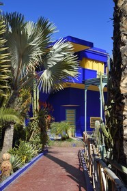 Maroc, Haut-Atlas, Marrakech, ville impériale, quartier de Gueliz, jardin Majorelle fondé en 1931 par le peintre français Jacques Majorelle puis racheté en 1980 par Yves Saint Laurent et Pierre Bergé