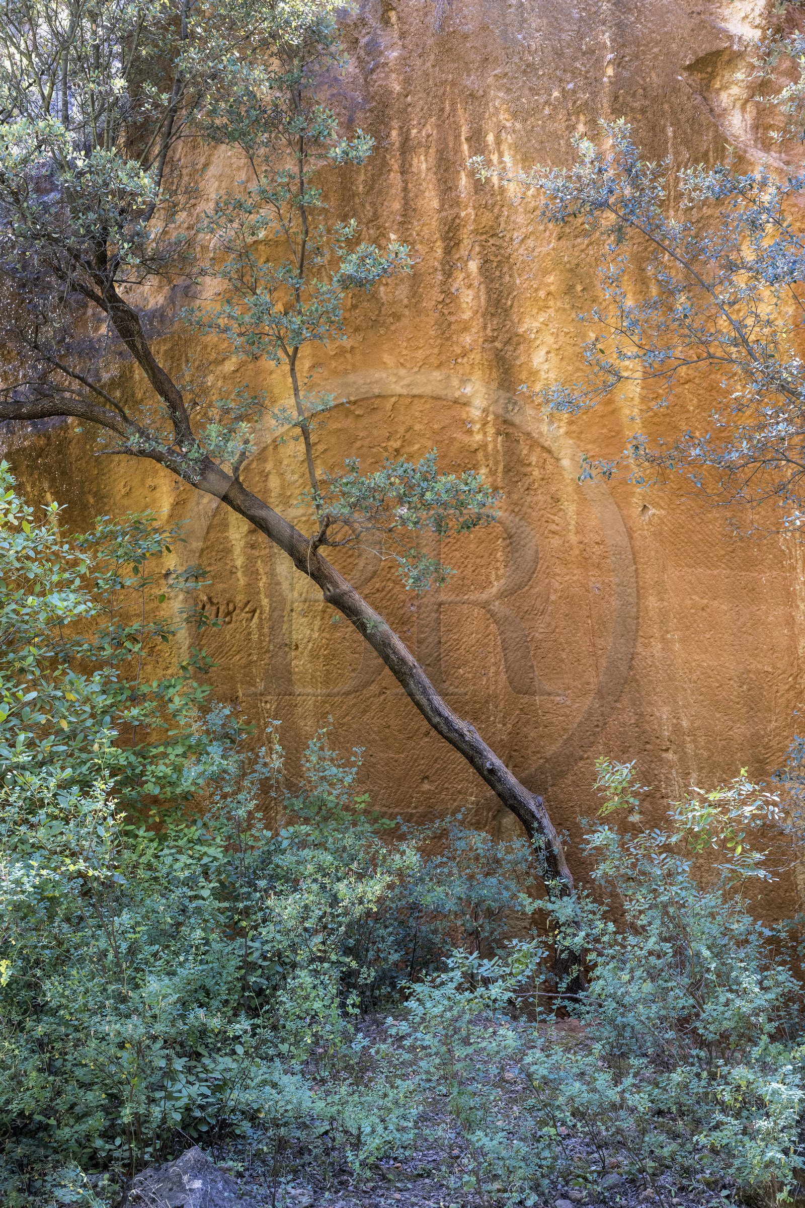 France, Bouches-du-Rhône (13), Aix en Provence, plateau de Bibemus, les carrières de Bibemus qui ont inspirées de nombreuses toiles de Cézanne