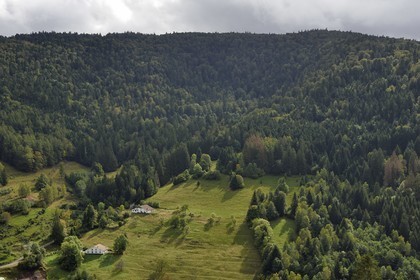 France, Vosges, Saint Maurice sur Moselle, the Charbonniers valley leading to Gazon Rouge and to the top of the Tete des Perches