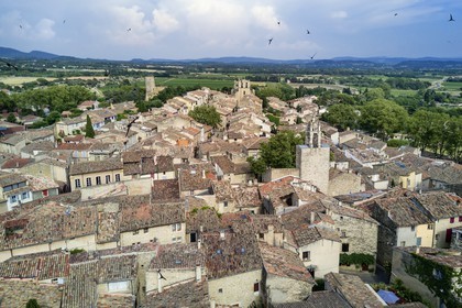 France, Vaucluse (84), Parc Naturel Regional du Luberon, Cucuron, labellisé Les Plus Beaux Villages de France, la tour de l'horloge et vol de Martinet noir (Apus apus)