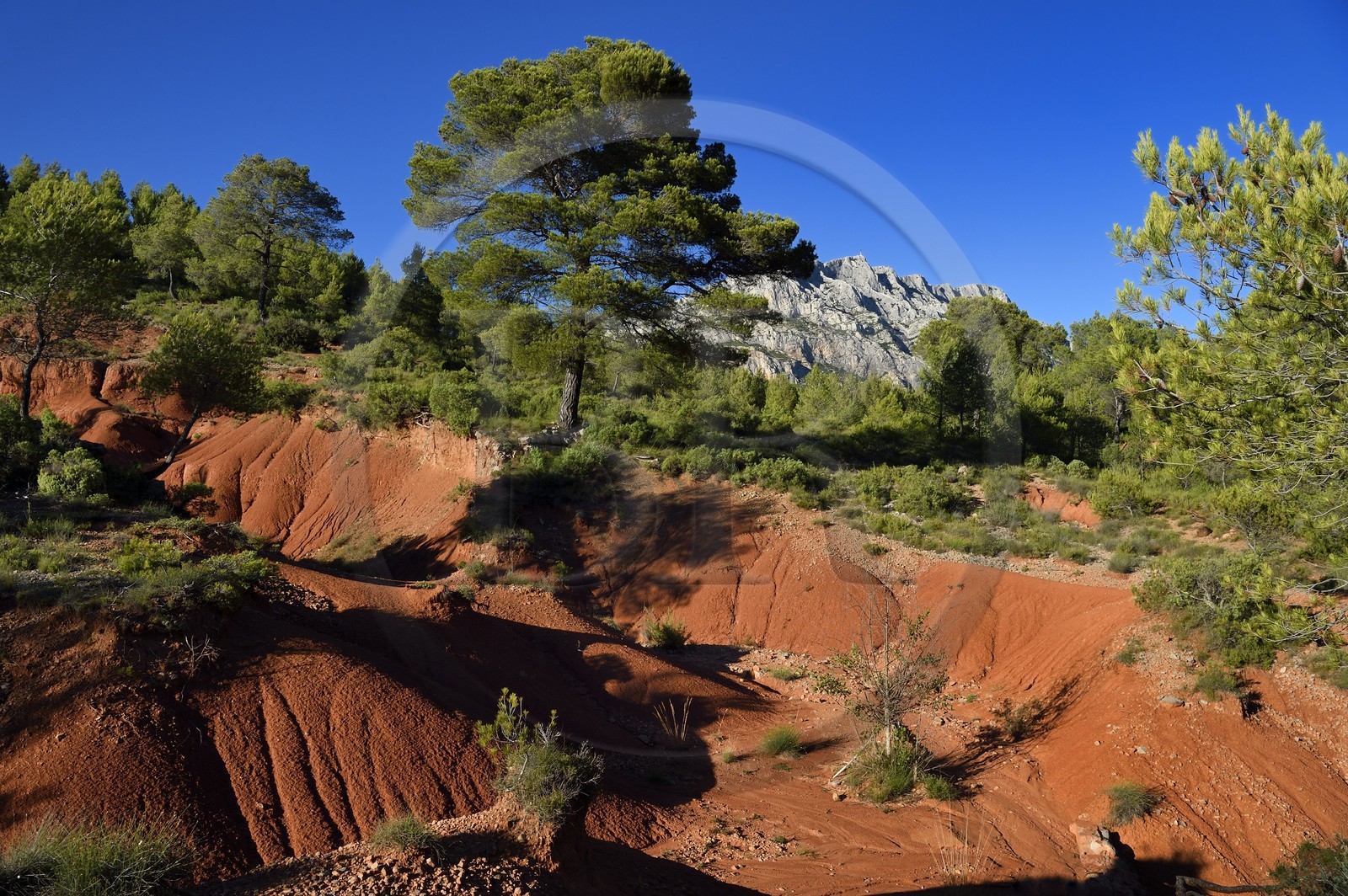 France, Bouches du Rhone, Aix en Provence region, towards the Tholonet, the Sainte Victoire mountain, Cezanne road