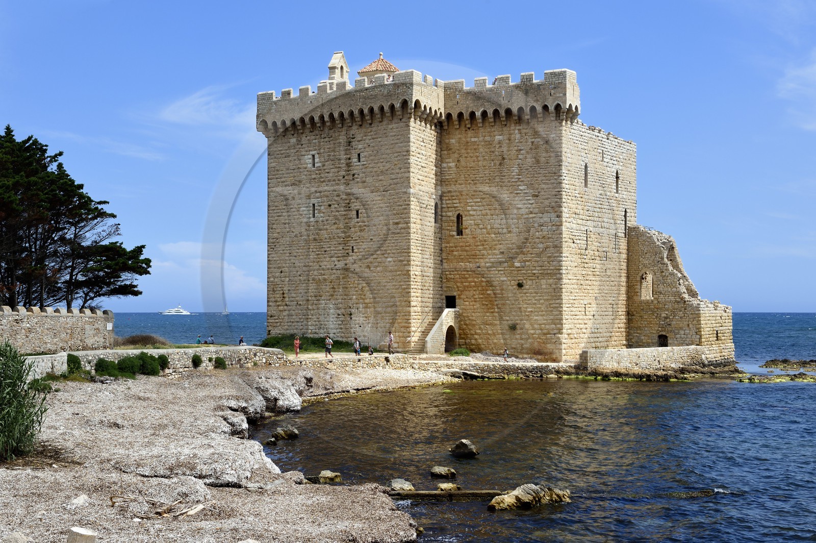 France, Alpes-Maritimes (06), Cannes, Iles de Lérins, Ile de Saint-Honorat, Abbaye de Lérins, ancien monastère fortifié élevé en 1073