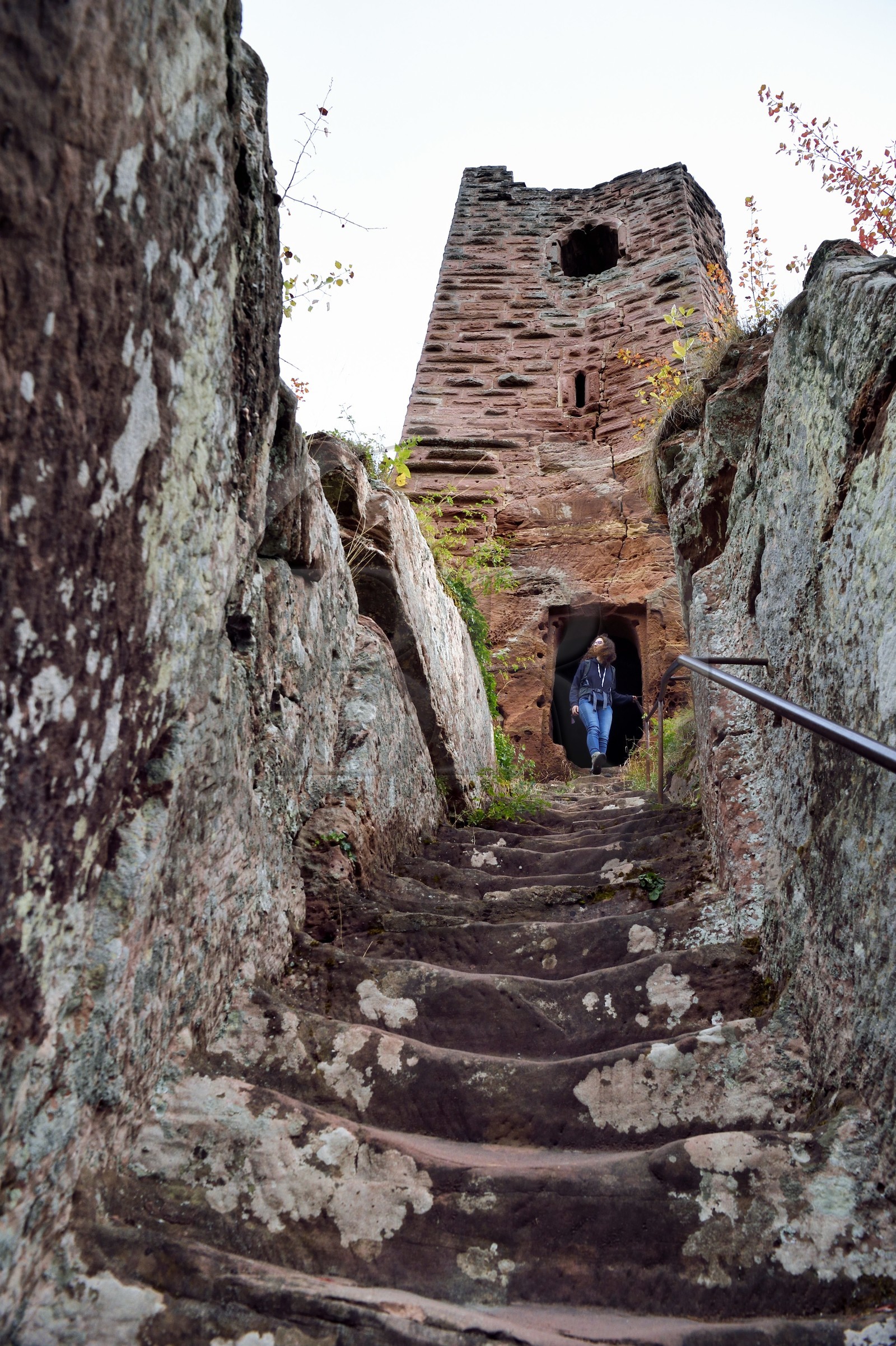 France, Bas-Rhin (67), Parc naturel régional des Vosges du Nord, Niedersteinbach, foret domaniale de Steinbach, ruines du chateau de Wasigenstein, escalier d'accès creusé à même le roc