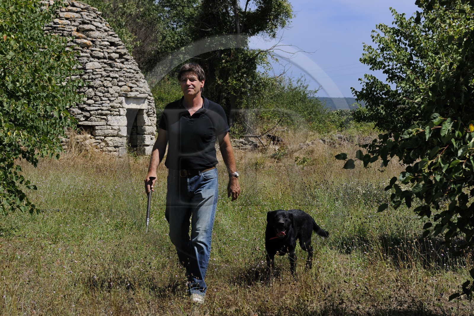 France, Gard (30), région du Pays d'Uzège, Uzès, Michel Tournayre créateur des “Truffières du Soleil” dans sa plantation truffière avec un de ses chiens truffiers