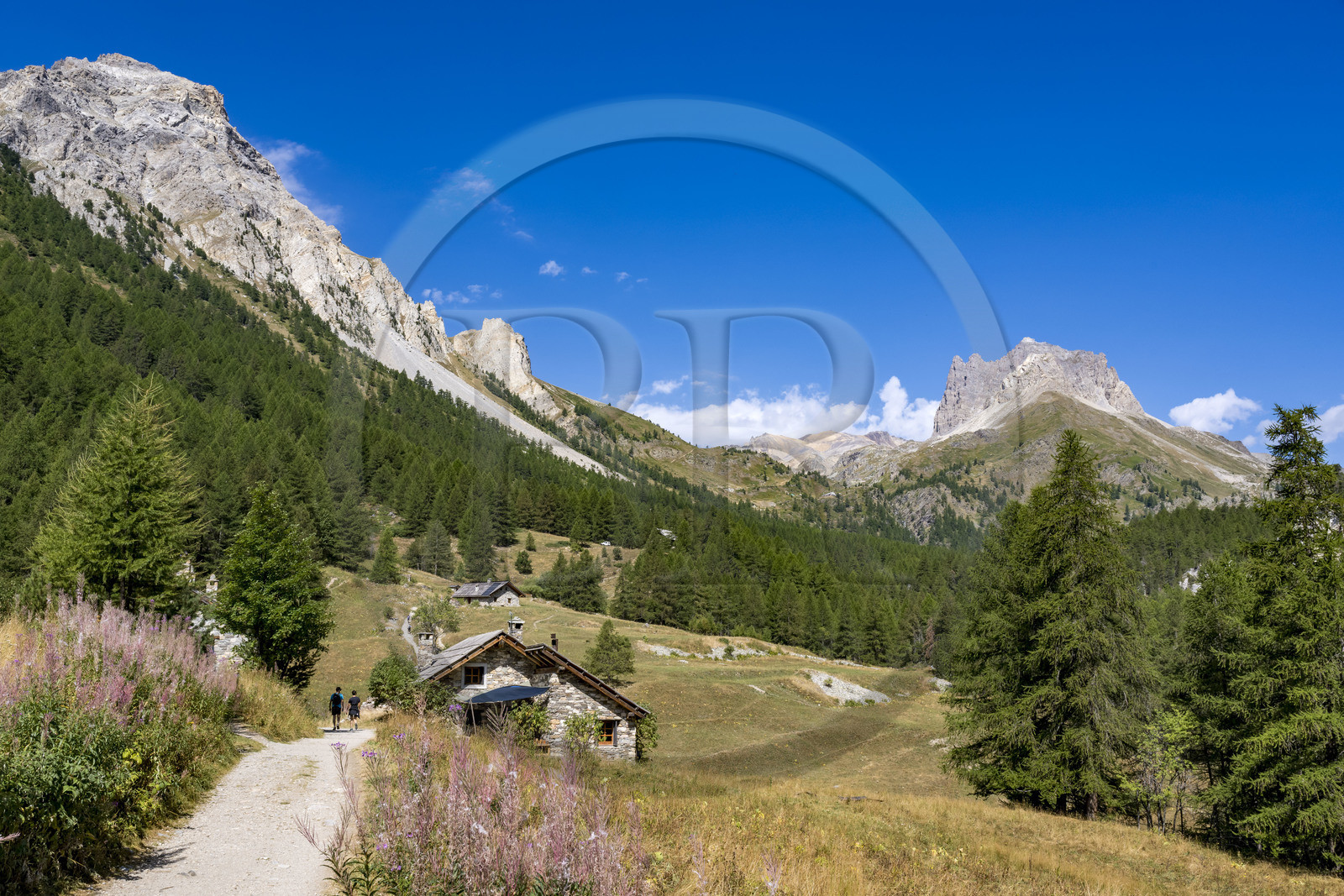 France, Hautes Alpes (05), Névache, la Vallée Étroite à la frontière italienne, hameau les Granges, randonneurs sur le chemin vers le Lac Vert, le Mont Thabor et le Grand Séru (à droite) en arrière plan