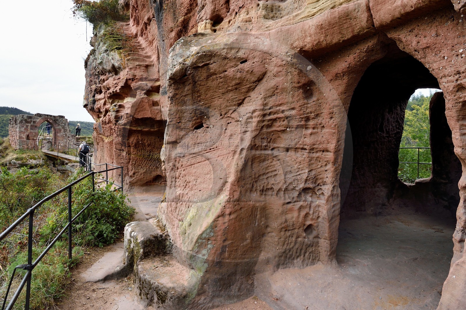 France, Bas-Rhin (67), Parc naturel régional des Vosges du Nord, Lembach, foret domaniale de Steinbach, ruines du chateau de Froensbourg