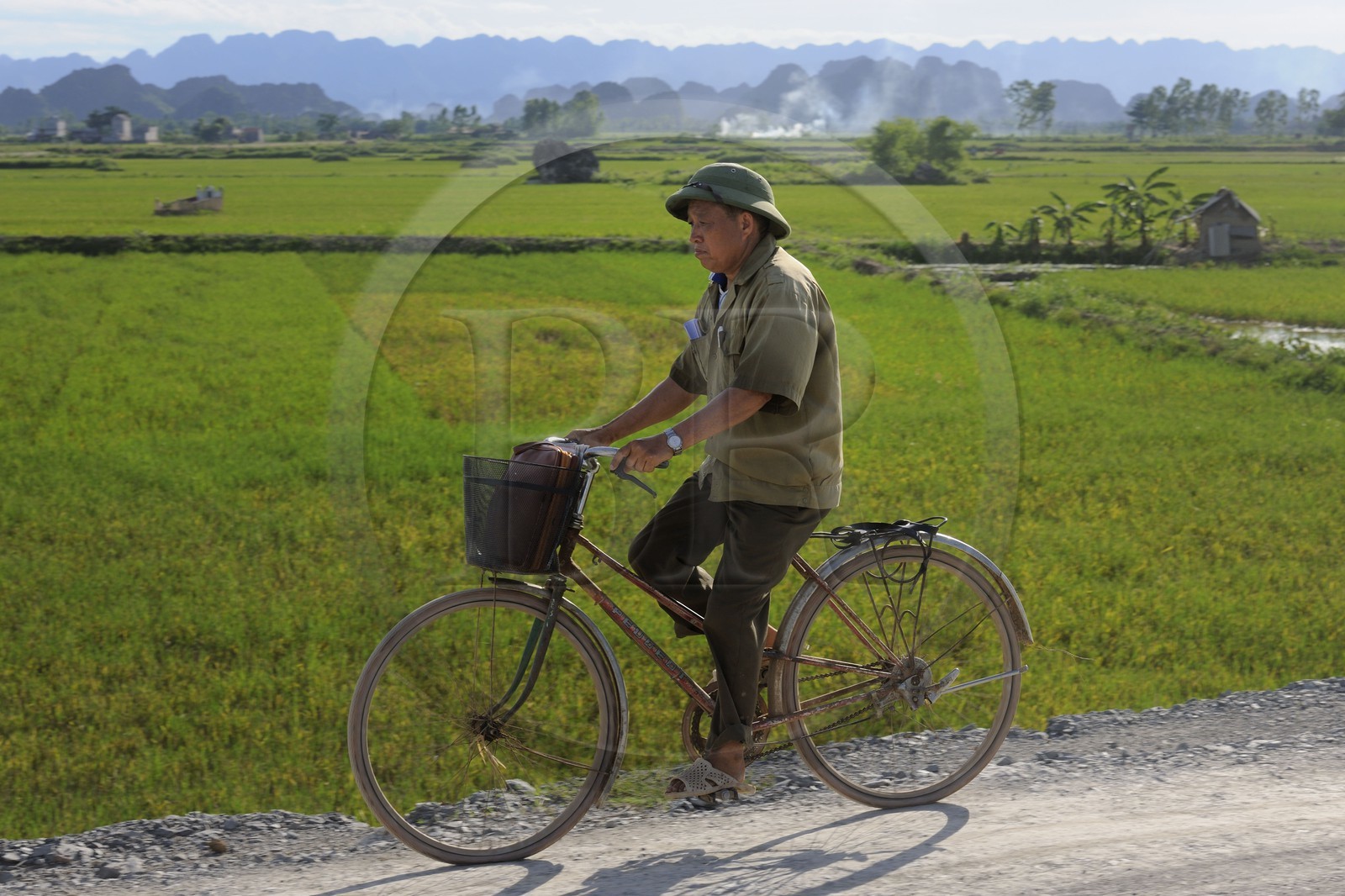 Vietnam, province de Ninh Binh, cycliste devant des rizières