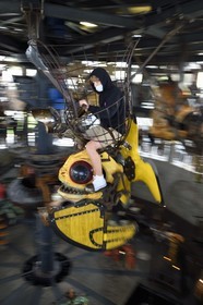 France, Loire-Atlantique, Nantes, les Machines de l'Ile, marine wold carousel