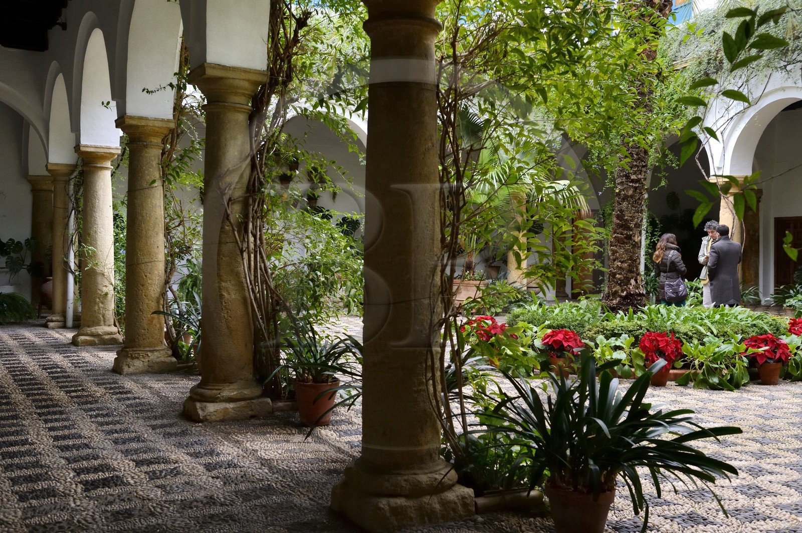 Espagne, Andalousie, Cordoue, Palais de Viana, patio d'accueil