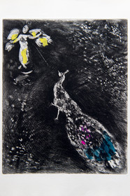 France, Aisne (02), Château-Thierry, Musée Jean de La Fontaine - Ville de Chateau-Thierry, illustrations des Fables de La Fontaine, Le Paon se plaignant à Junon fable XVII du livre II, estampes de Marc Chagall, 1927-1930 (gravure sur cuivre), publiées par Tériade en 1952, eau-forte sur papier vélin, rehauts de gouache et d’aquarelle