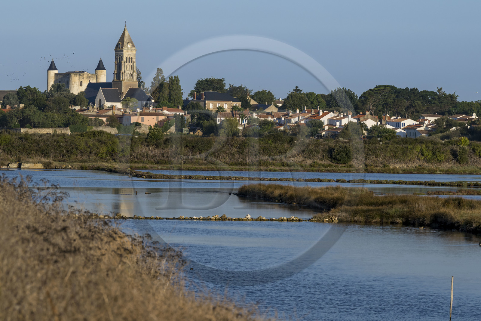 France, Vendée, Noirmoutier island, Noirmoutier-en-l'Ile, the medieval castle and the Saint-Philbert church