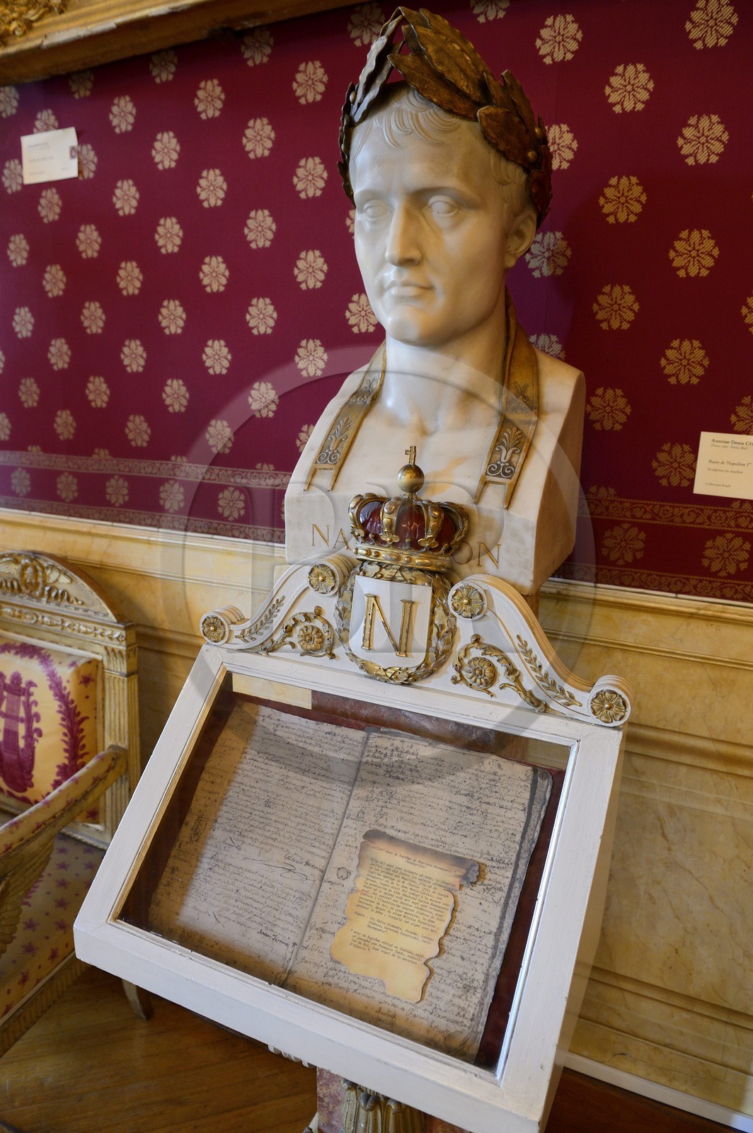 France, Corse du Sud, Ajaccio, the city hall, Napoleonic salon, bust of Napoleon Bonaparte by Antoine Denis Chaudet and reproduction of his birth certificate dated July 21, 1771