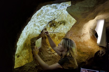 France, Dordogne, Montignac, the Atelier des Fac-Similés du Périgord (Perigord's Facsimile Workshop AFSP) specialised in mineral reproduction of prehistoric painted walls using “stone veil” patented technique and in charge of the Lascaux cave’s walls faithfull reconstitution, reproductions of the paintings by the painter-copyist Beth O’Reilly, compulsory mention Atelier des Fac-Similés du Perigord