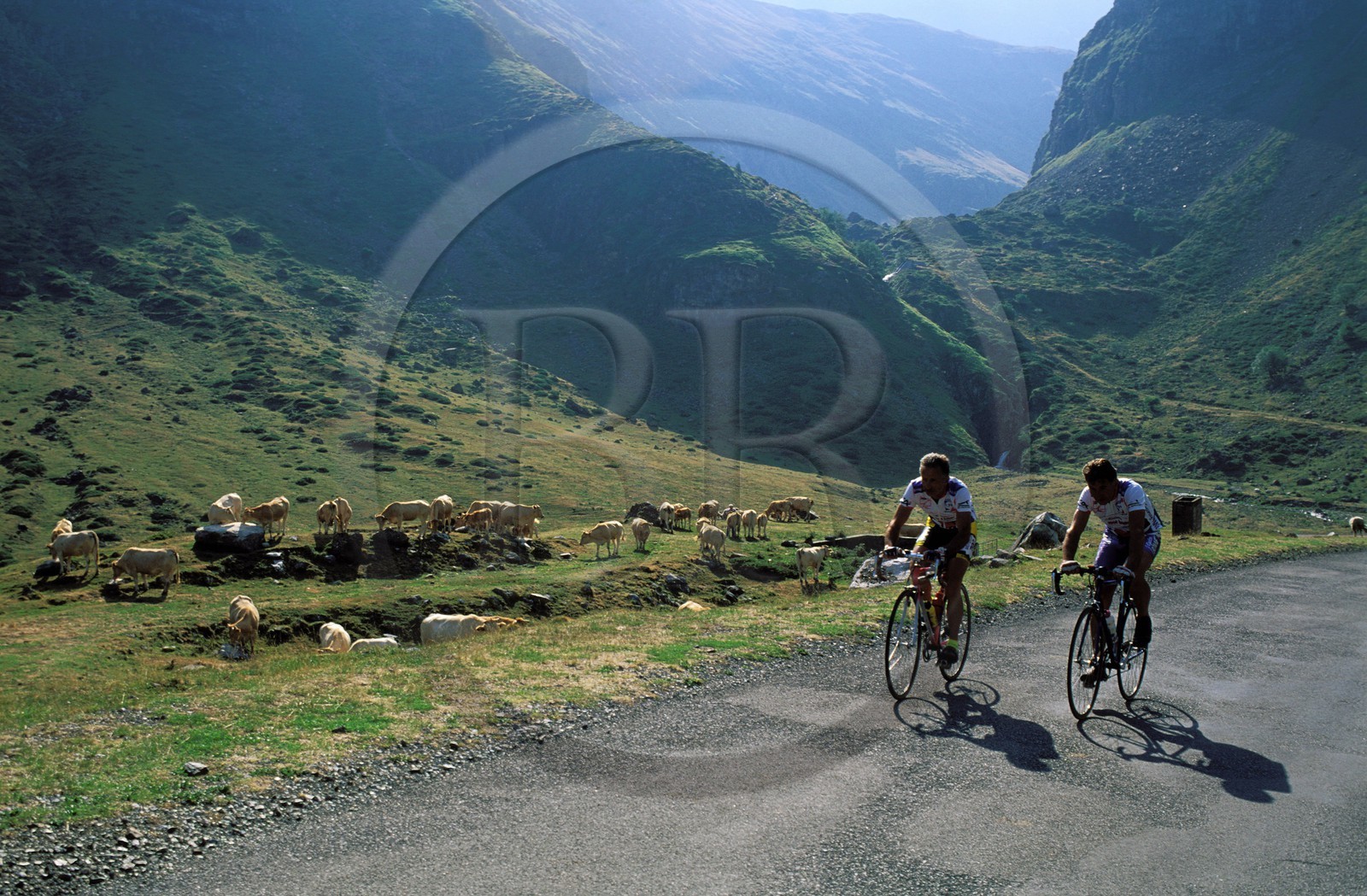 France, Hautes-Pyrénées (65), la vallée de Troumousse, le cirque de Gabiedou