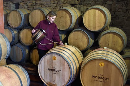 France, Pyrénées-Atlantiques (64), Pays-Basque, Saint-Jean-Pied-de-Port, Ispoure, vignoble du Domaine Mourguy, AOC Irouleguy, Florence Mourguy