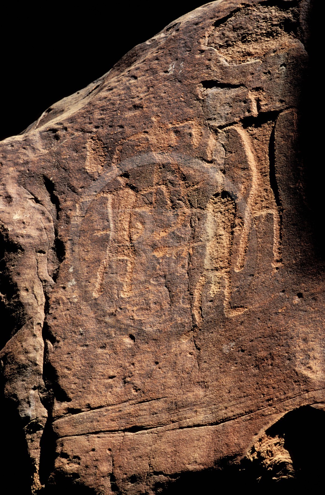 Jordanie, le Wadi Rum, dessins gravés dans le sîq du Jebel Khazali