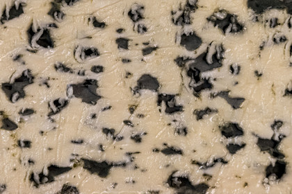 France, Aveyron (12), parc naturel régional des Grands-Causses, Roquefort-sur-Soulzon, le fromage de Roquefort de la marque Gabriel Coulet