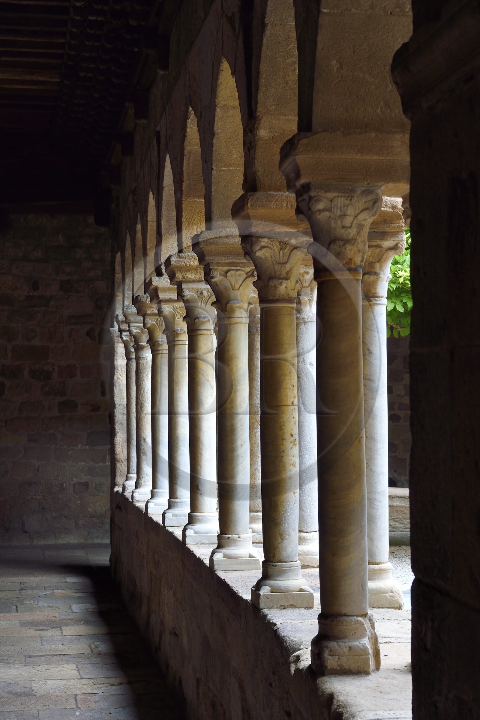 France, Var (83), Fréjus, la cathédrale Saint Léonce (XVIe siècle), cloitre canonial roman du XIIe siècle