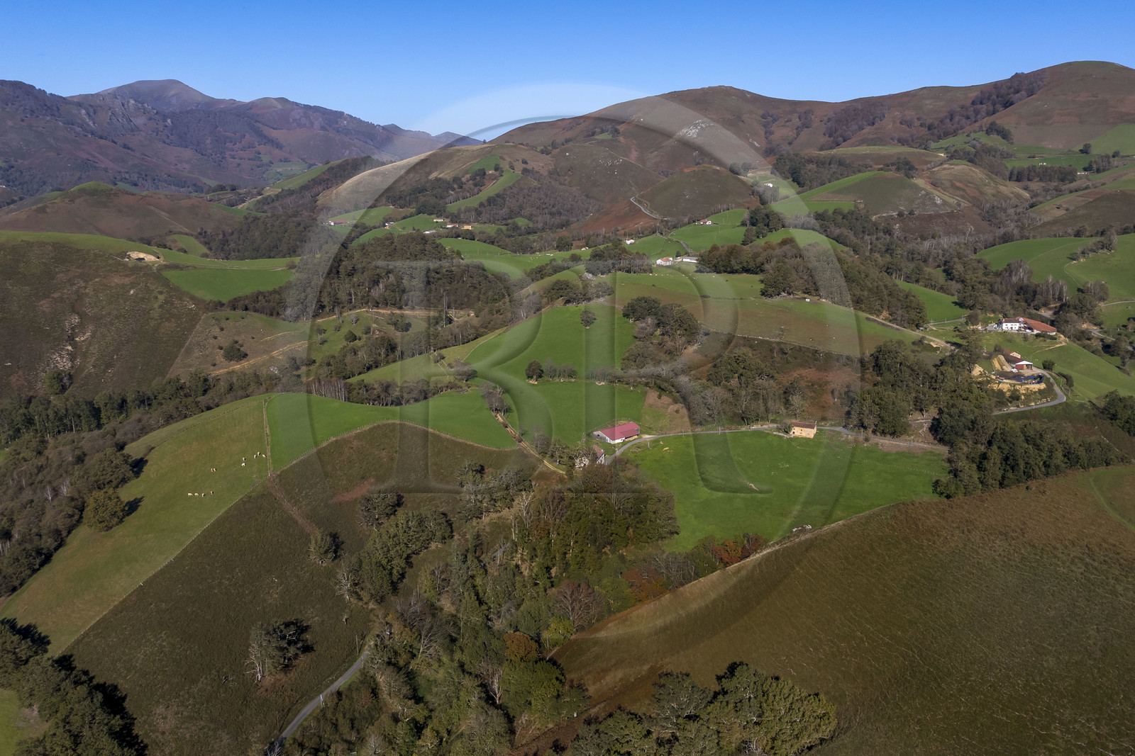 France, Pyrénées-Atlantiques (64), Pays-Basque, vallée des Aldudes, fermes du village d'Urepel (vue aérienne)