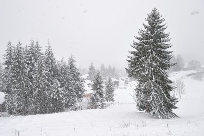 France, Haute-Savoie (74), station de ski Les Carroz d'Arâches, village d'Arâches-la-Frasse