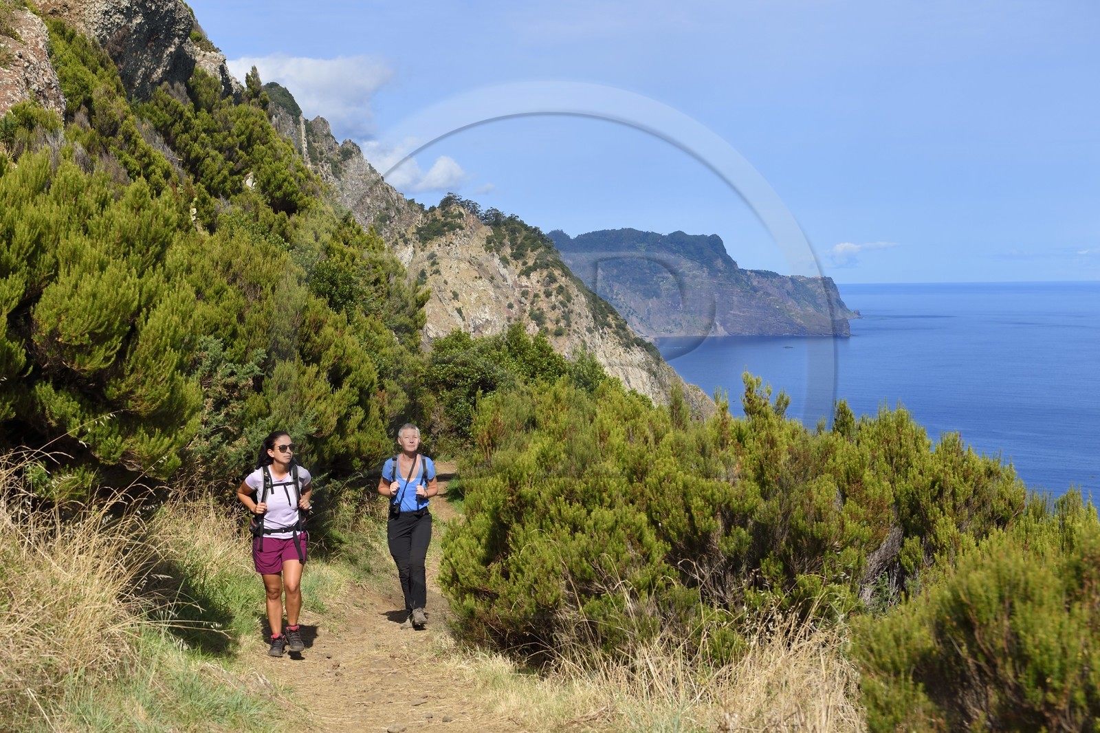 Portugal, Ile de Madère, randonnée de Machico à Porto da Cruz par le Vereda do Larano, randonneuses au col de Boca do Risco