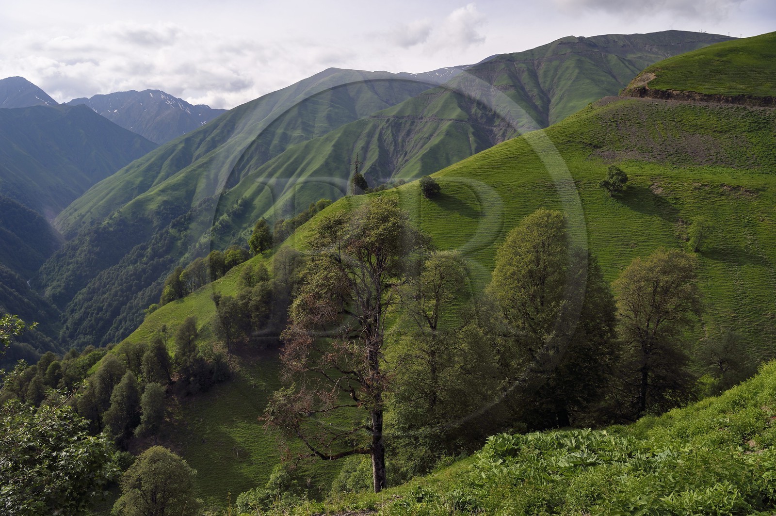 Géorgie, Kakheti, region de Touchétie, paysage de la très spectaculaire piste qui relie Telavi à Omalo en passant par le Col d'Abano à 2826 mètres