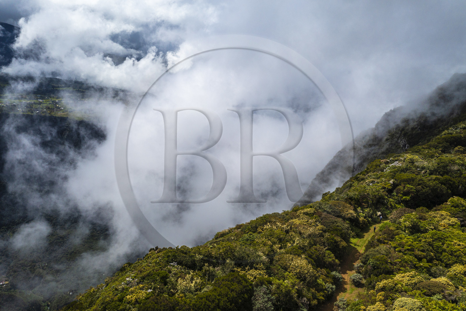 France, Reunion island (French overseas department), Reunion National Park listed as World heritage by UNESCO, Piton de la Fournaise volcano, Hauts de Mont-Vert forest above the valley of the Rivière des Remparts (aerial view)