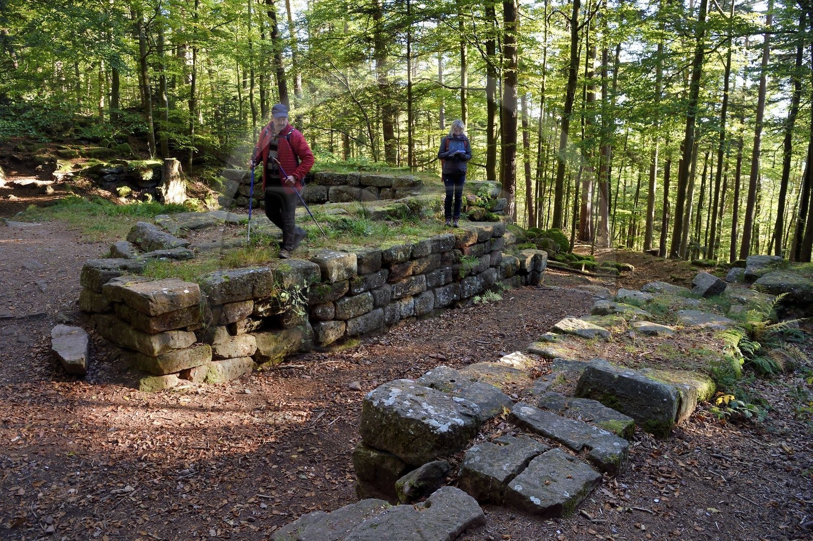 France, Bas-Rhin (67), Mont Saint-Odile, randonnée autours du Mur Païen, vestige d'un mur d'enceinte probablement de l'époque mérovingienne d'une longueur totale de onze kilomètres, Porte Zumstein découverte en 1968