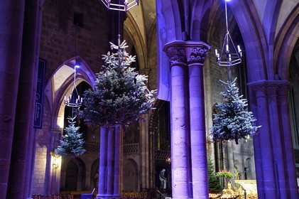 France, Bas-Rhin (67), Selestat, les sapins suspendus sous les arcs de la nef de l'église Saint-Georges sont décorés traditionnellement de pommes, bredele, boules en tenant compte d'une évolution dans le temps