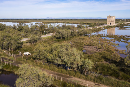 France, Aigues-Mortes, Saint-Laurent-d'Aigouze, la Tour Carbonnière dans la Petite Camargue (vue aérienne) France, Aigues-Mortes, Saint-Laurent-d'Aigouze, the Carbonnière Tower in the Petite Camargue (aerial view)