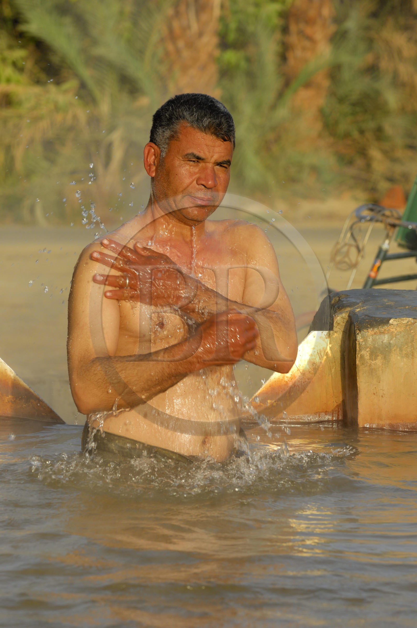 Egypt, Lower Egypt, Libyan desert, oasis of Bahariya (Bahareyya), hot spring