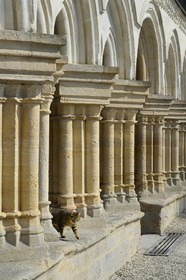 France, Marne, village of Saint-Amand-sur-Fion, Saint-Amand church, Champagne style porch of the twelfth century and rebuilt in the sixteenth century