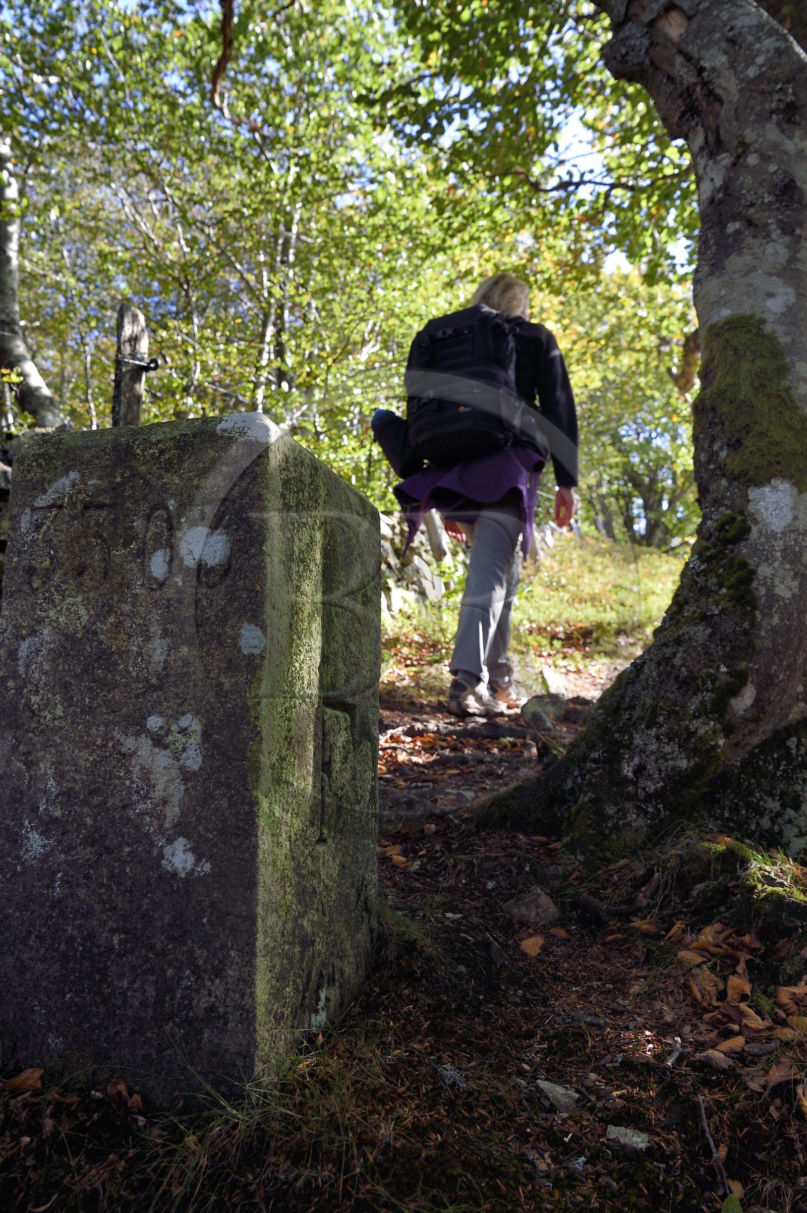 France, Vosges (88), Parc naturel régional des ballons des Vosges, Saint-Maurice-sur-Moselle, chaume de Gazon Rouge, ancienne borne frontière franco-allemande dont on peut voir le F