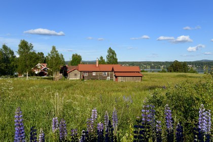 Suède, comté de Dalécarlie, région de Leksand, ferme dans le petit hameau de Hjulbäck sur la rive du lac Siljan