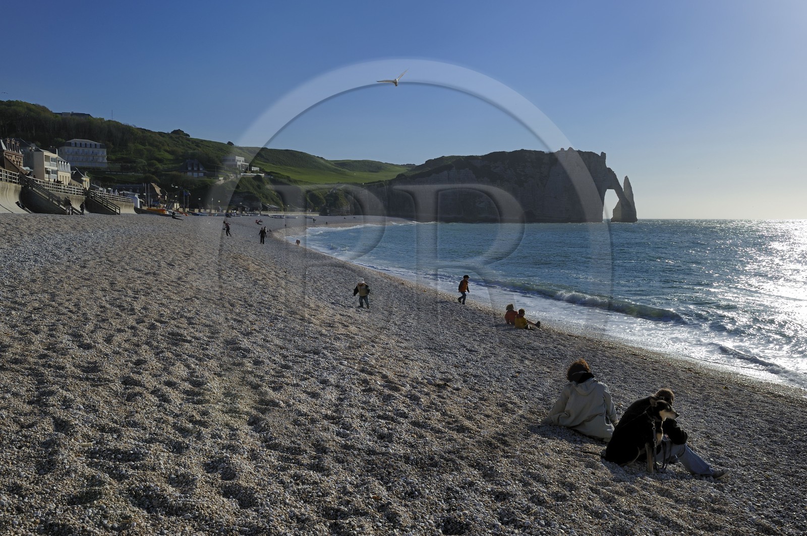 France, Seine-Maritime (76), Pays de Caux, Côte d'Albâtre, Etretat, la falaise d'Aval et l'Aiguille Creuse depuis la plage de la ville