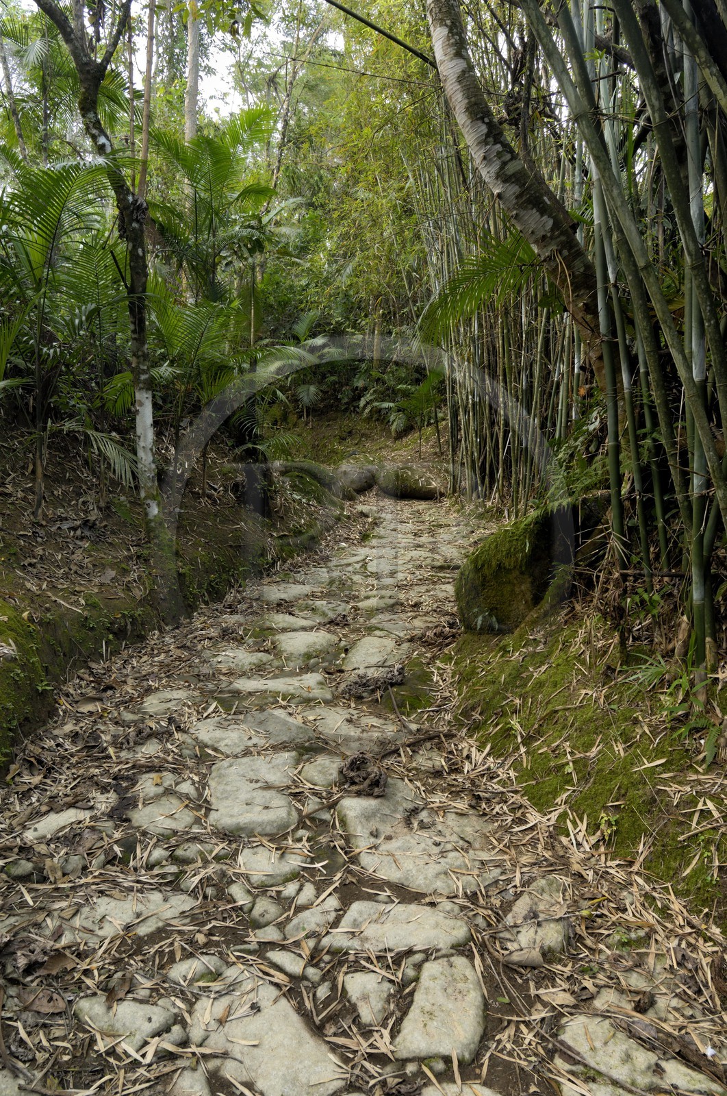 Brazil, Rio de Janeiro State, Paraty, former Gold Trail (Estrada Real)