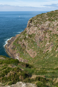 France, Ille-et-Vilaine (35), Côte d'Emeraude, Plévenon, le Cap Fréhel classé Natura 2000