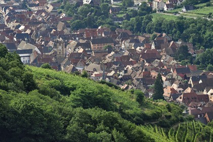 France, Haut-Rhin (68), Route des vins d'Alsace, Ribeauvillé